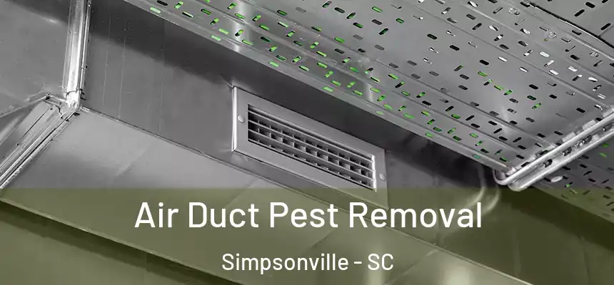  Air Duct Pest Removal Simpsonville - SC