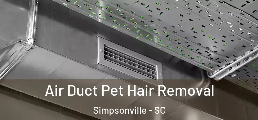  Air Duct Pet Hair Removal Simpsonville - SC