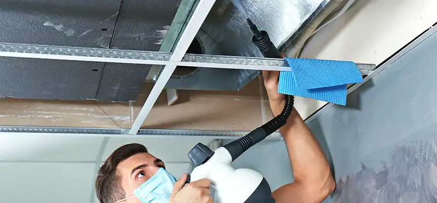 Our Air Duct Rodent Removal Services in Simpsonville, SC