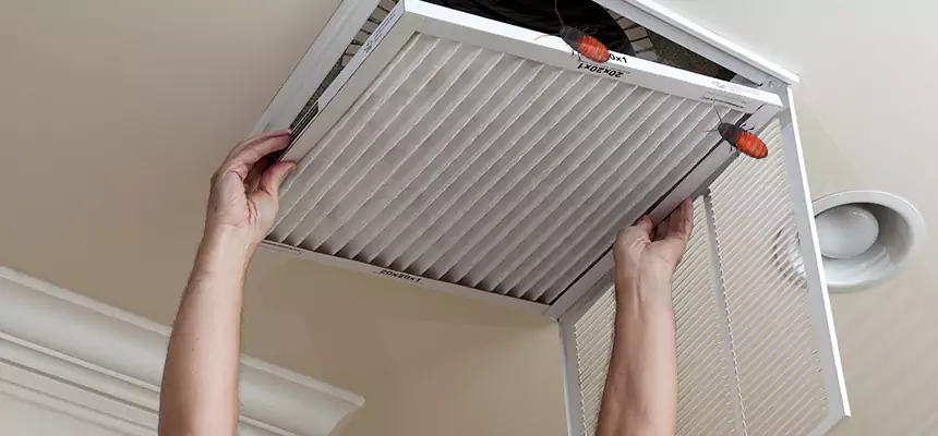 Our Insect Removal from Air Ducts Services in Simpsonville, SC