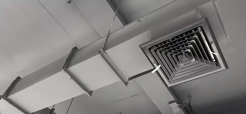 Our Rodent Droppings In Vents Services in Simpsonville, SC