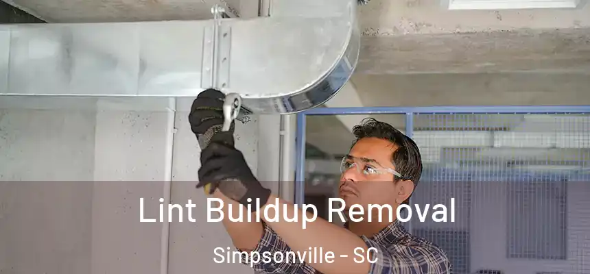  Lint Buildup Removal Simpsonville - SC