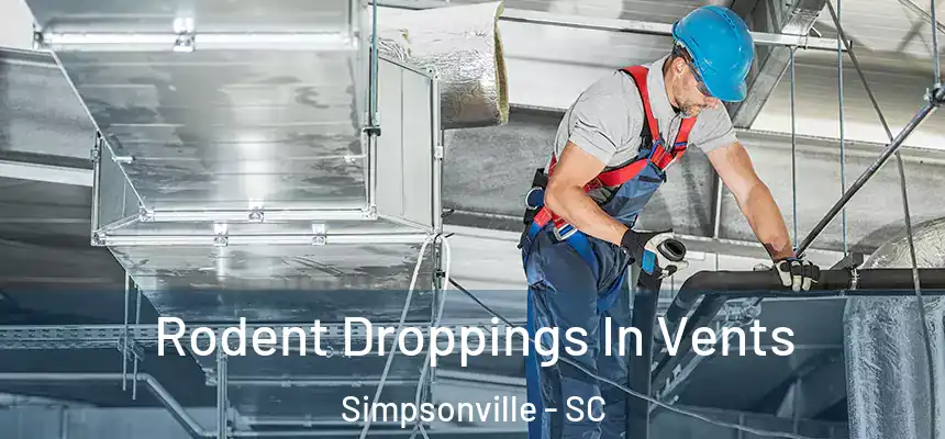  Rodent Droppings In Vents Simpsonville - SC