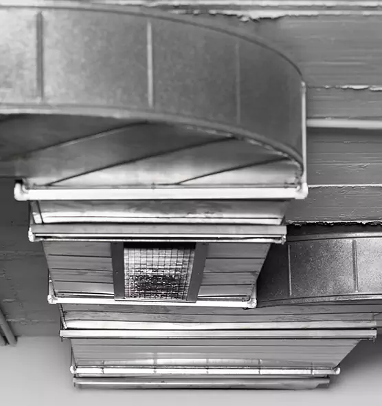 Professional Air Duct Pest Removal in Simpsonville, SC