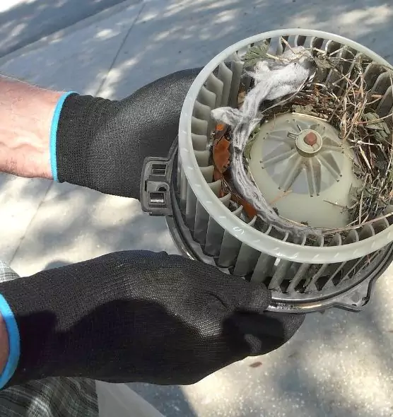 About Air Duct Rat Removal in Simpsonville, SC