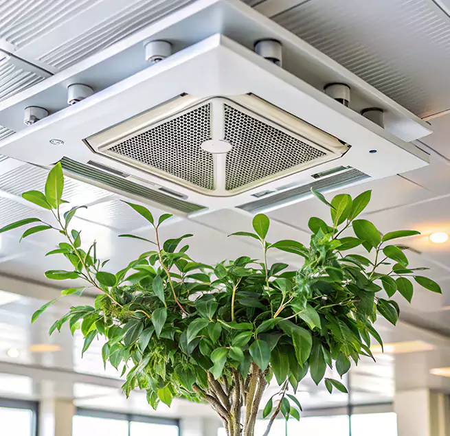 Why Homeowners & Businesses Trust Us in Simpsonville, SC